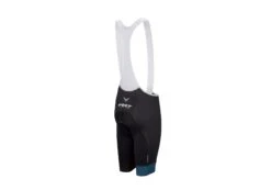 Felt Bicycles Felt Scatto Pro Bibshorts Black - Men's -Felt Bicycles Felt Bibs Giordana Mens back